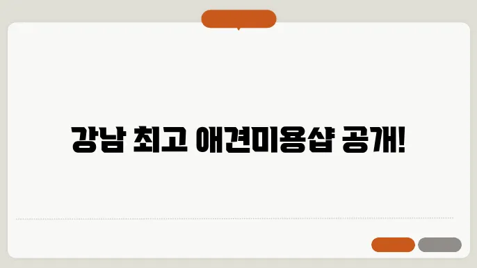 애견미용 관리의 필요성
