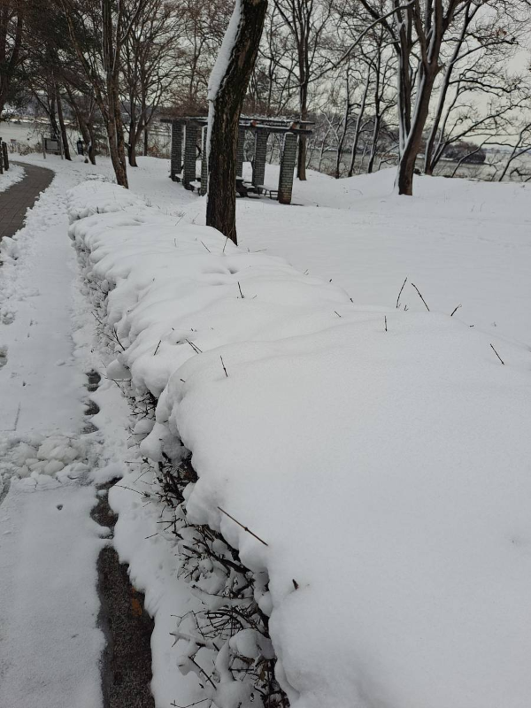 광성보 눈덮인 담