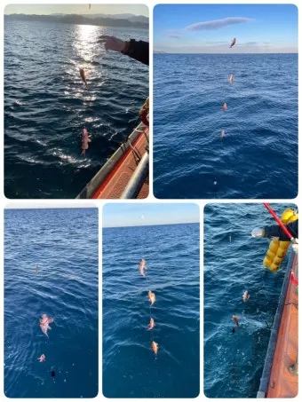 포항 파고 예측 구룡포 항구 산책 사진 촬영 포인트_20