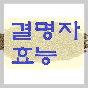 결명자차 효능 부작용