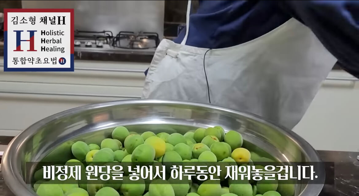 김소형 매실청 담그는 법