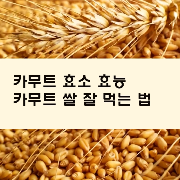 카무트효소 효능 카무트쌀 먹는법