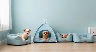 강아지 침대 선택할 때 고려할 점