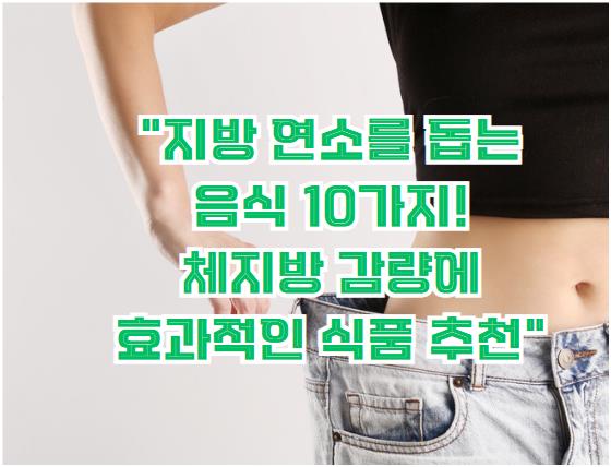 지방 연소를 돕는 음식 10가지! 체지방 감량에 효과적인 식품 추천