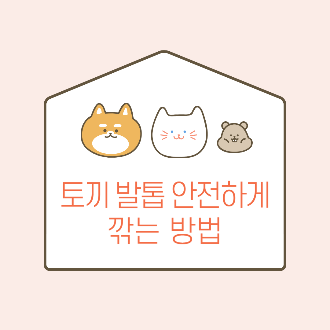 토끼 발톱 깎는 방법 관련 이미지