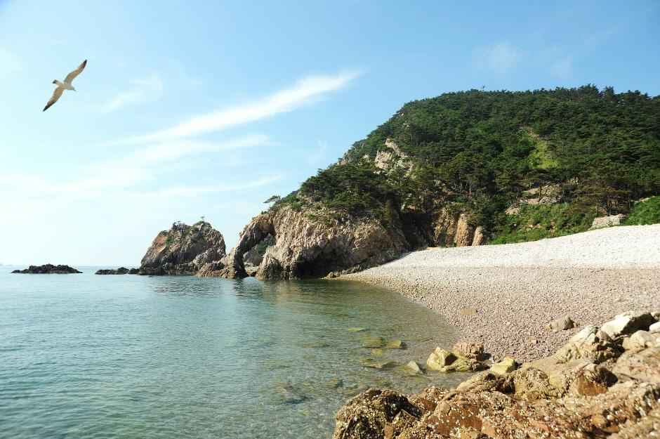 황금산 코끼리바위