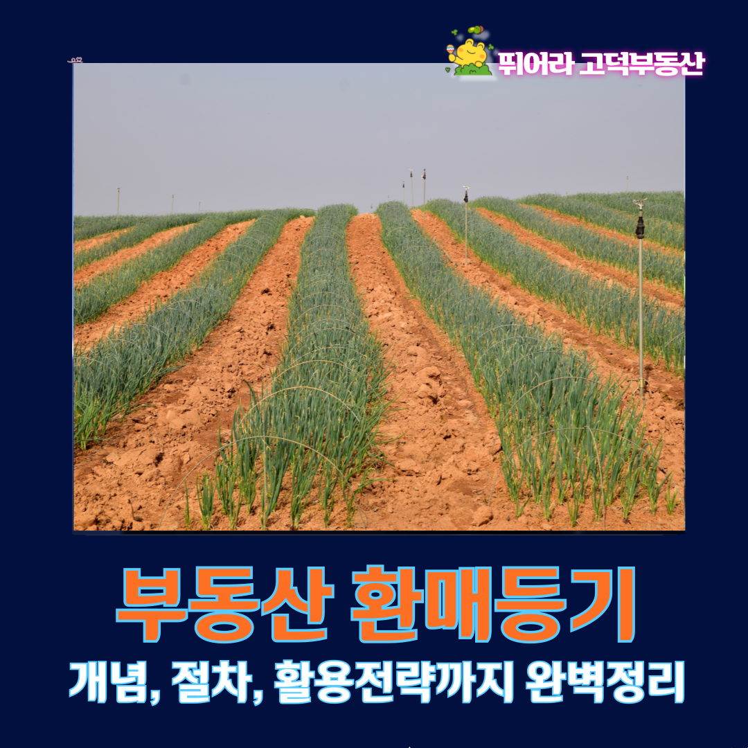 부동산 환매등기 개념, 절차, 활용전략까지