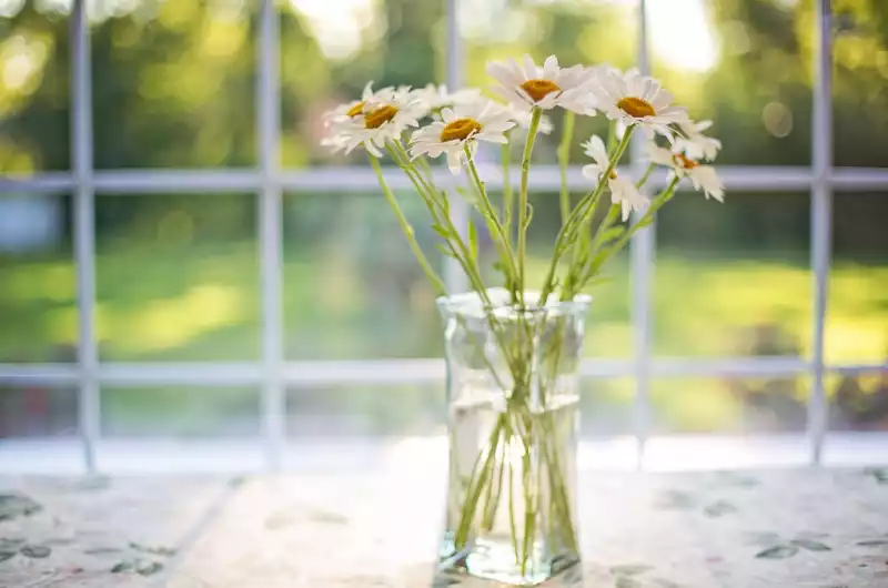 선물 받은 꽃 잘 보관하는 방법