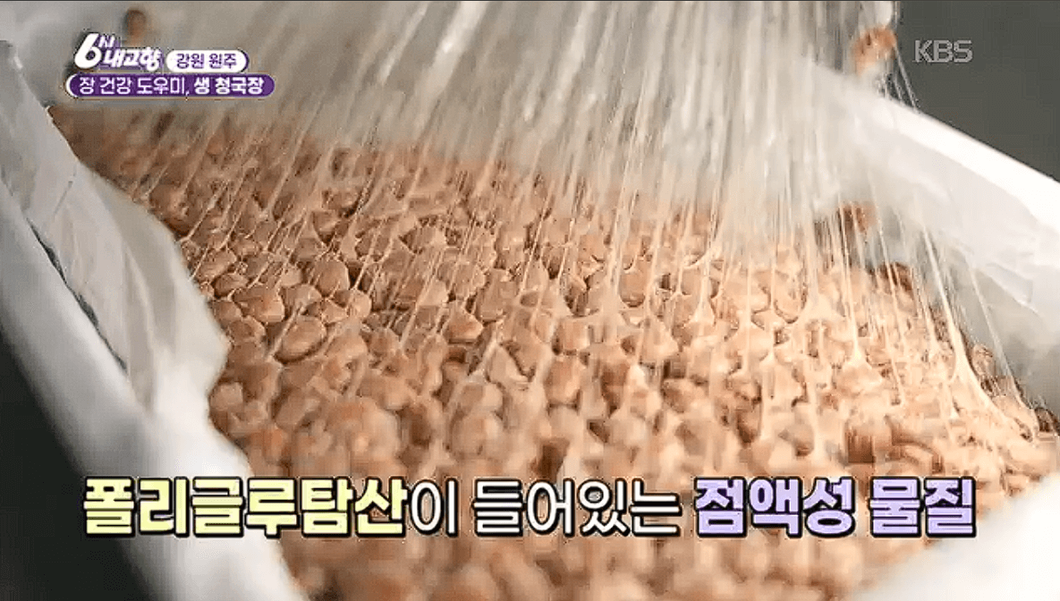 강원 원주 ‘생 청국장’ 전통 발효원