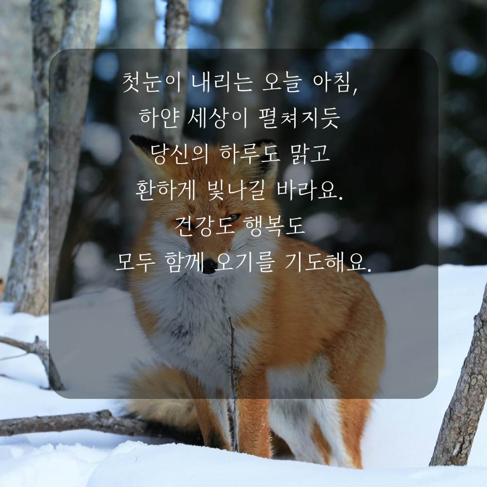 소설 인사말 겨울 인사말 이미지 문구 안부글 오음집 11월