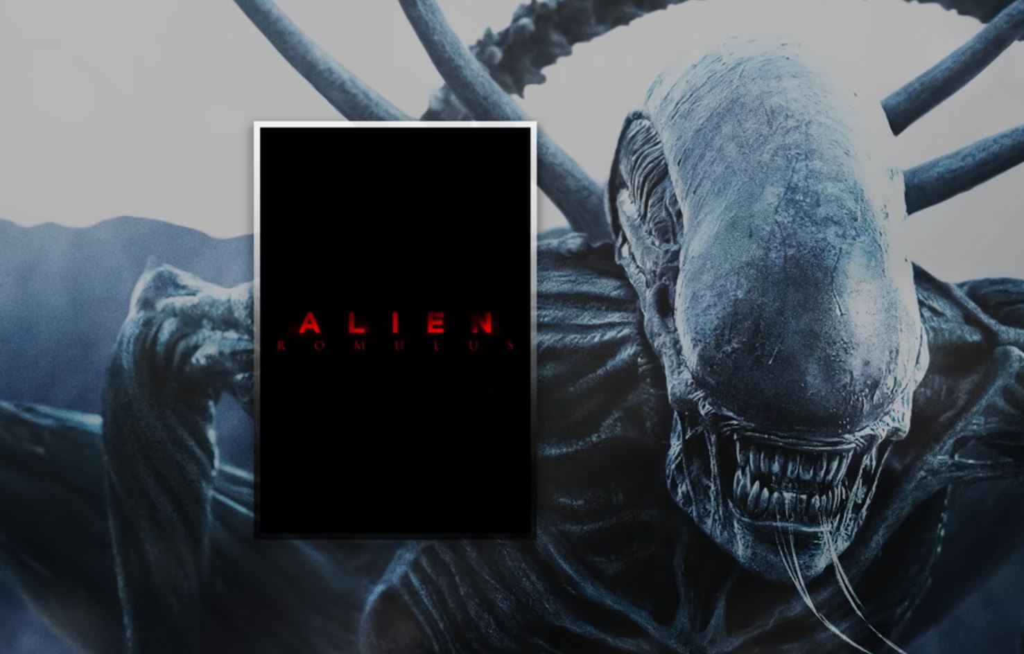 에어리언 로물루스