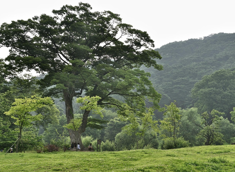 남한산성 행궁 사진