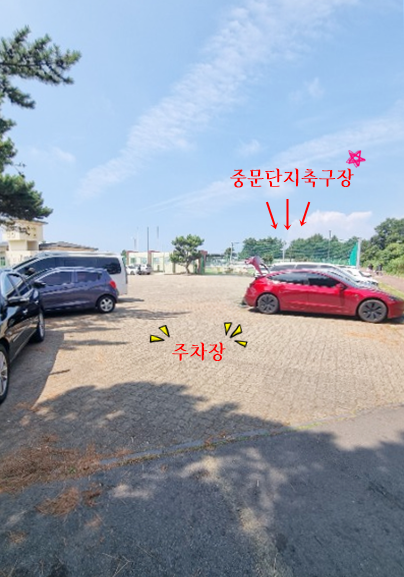 제주 도리빨