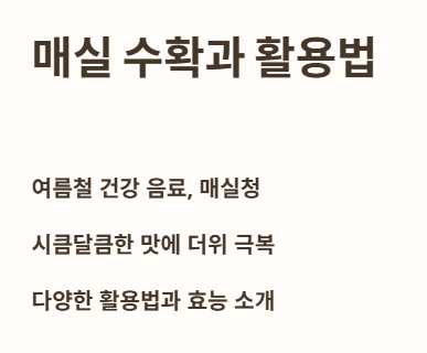 매실 수확과 활용법