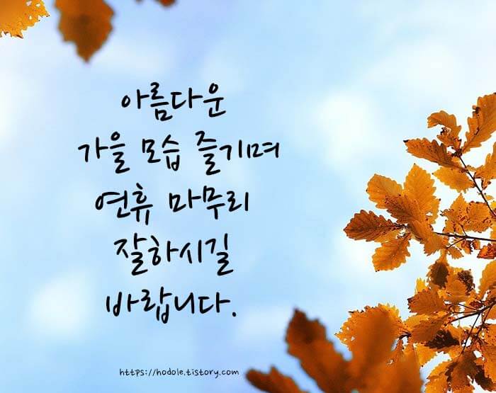 대체휴일인사이미지