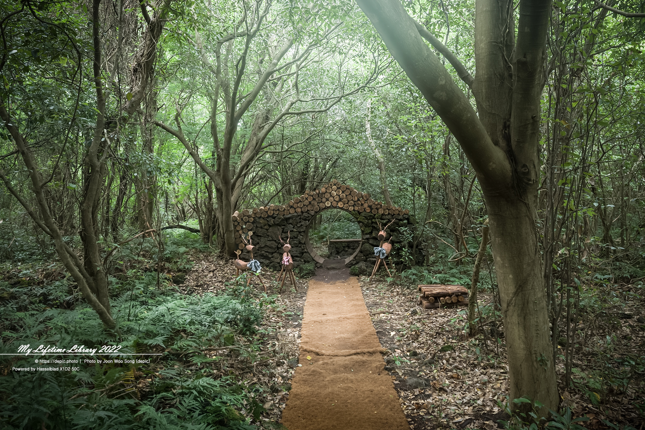 #제주 #곶자왈 #산양큰엉곶 #2022제주여행