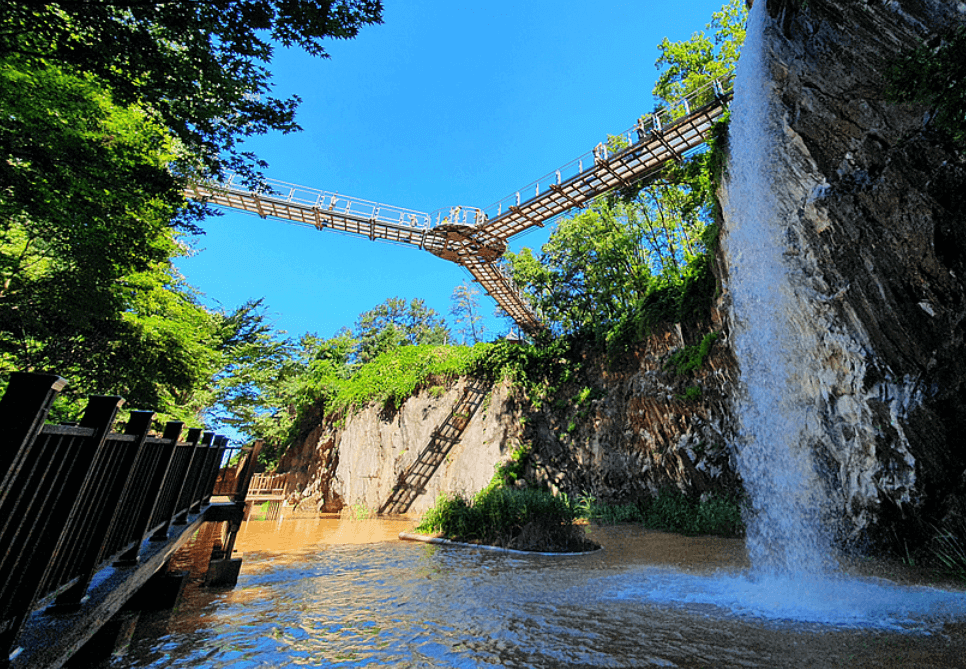 도산공원 출렁다리