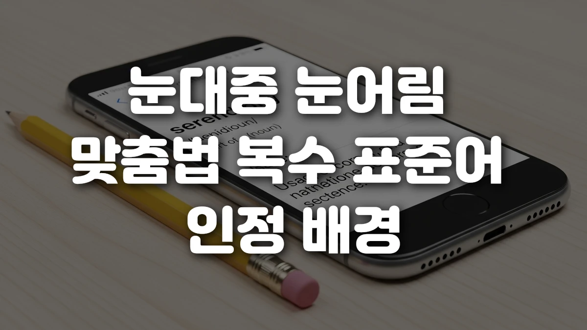 눈대중 눈어림 맞춤법 복수 표준어 인정 배경