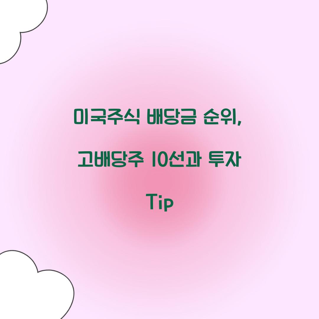 미국주식 배당금 순위