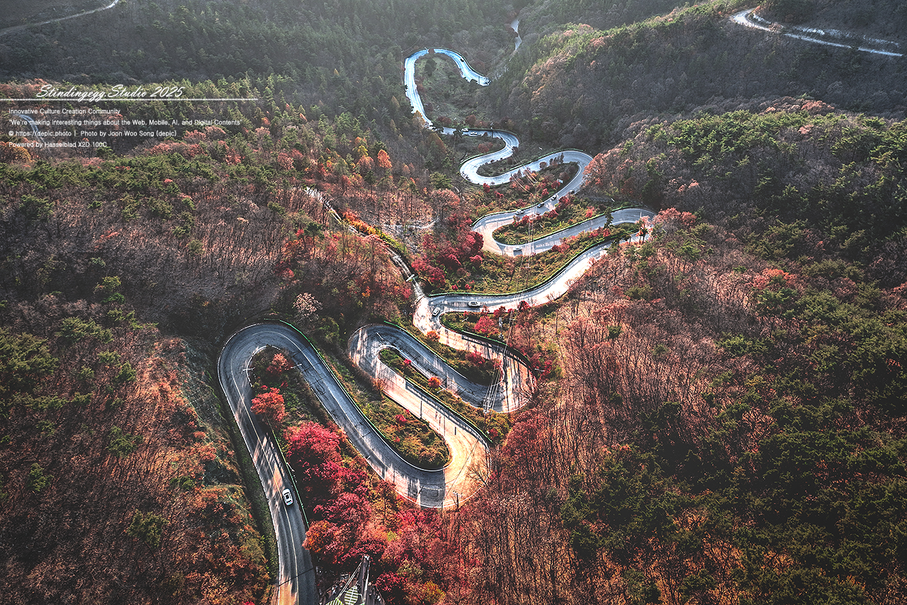 #단양 #말티재 #보발재 #언덕 #가을 #단풍