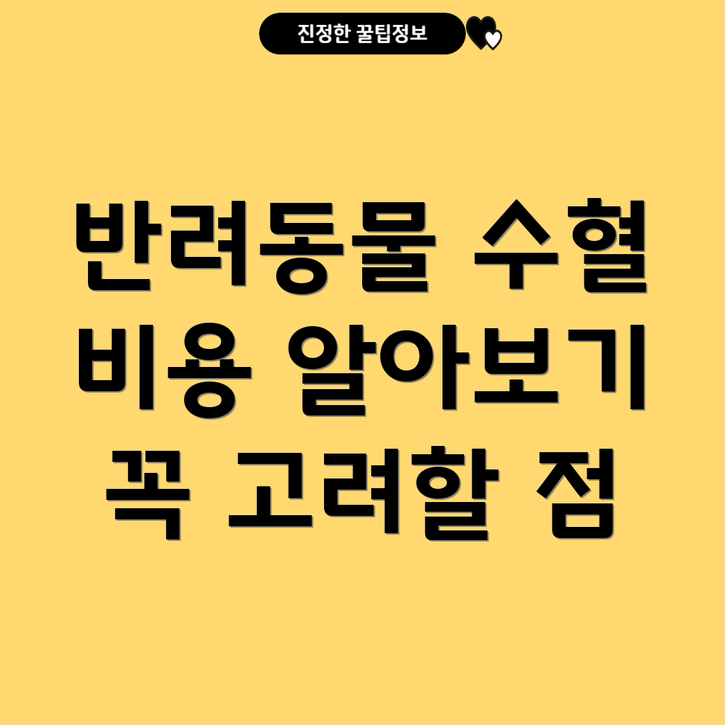 반려동물 수혈