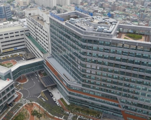 2024년 대한민국 의과대학순위 TOP10