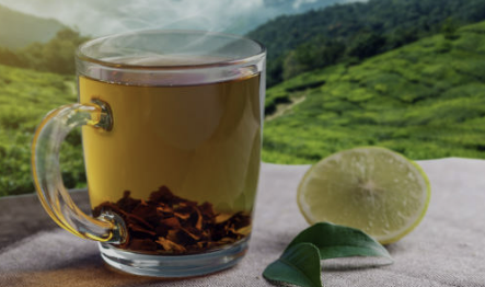 작두콩차 효능과 부작용 만들기 끓이는법 총정리(2024 최신)