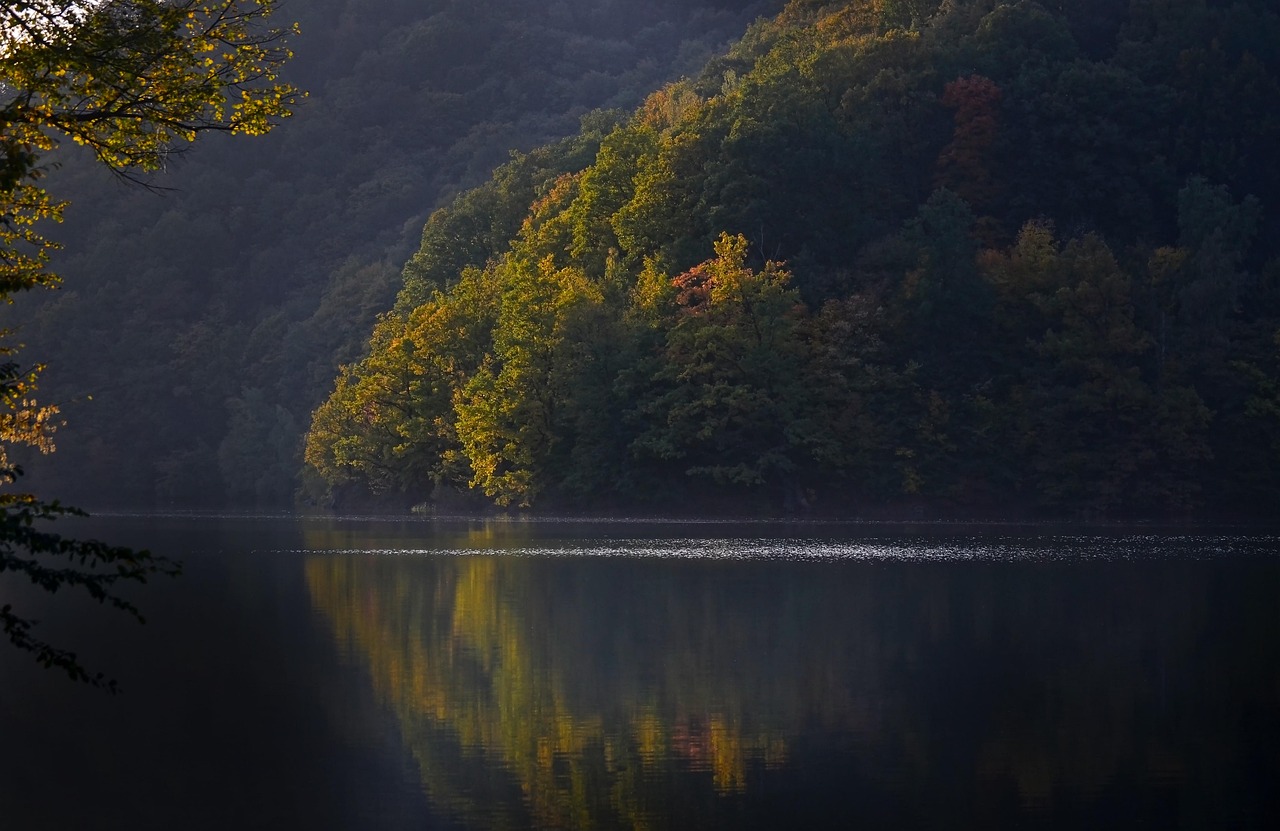 전북 고창군 – 슬로시티 기반 귀촌 전략