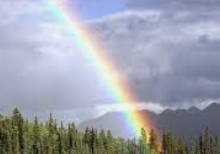 ISTP 유형 특징 분석