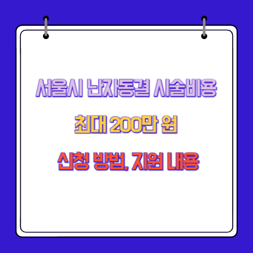 서울시 난자동결 시술비용 최대 200만 원 신청 방법, 지원 내용