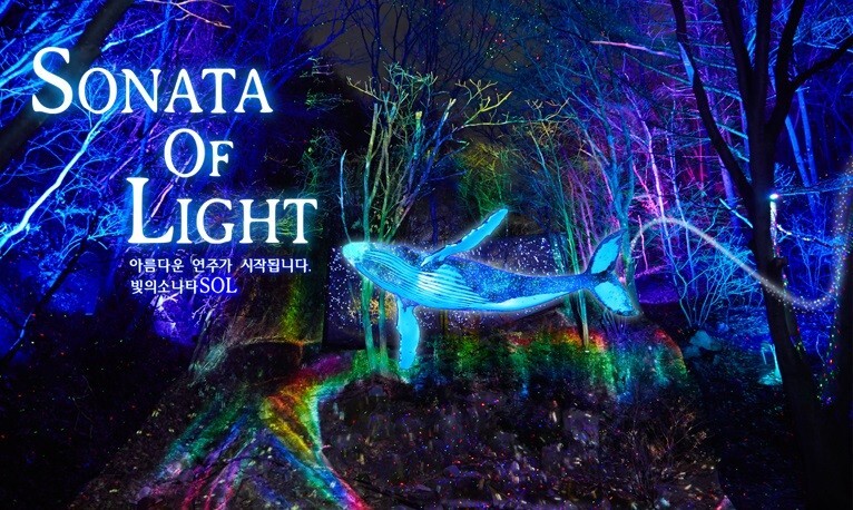 원주 오크밸리 3D 라이팅쇼 &#39;소나타오브라이트&#39; 포스터
