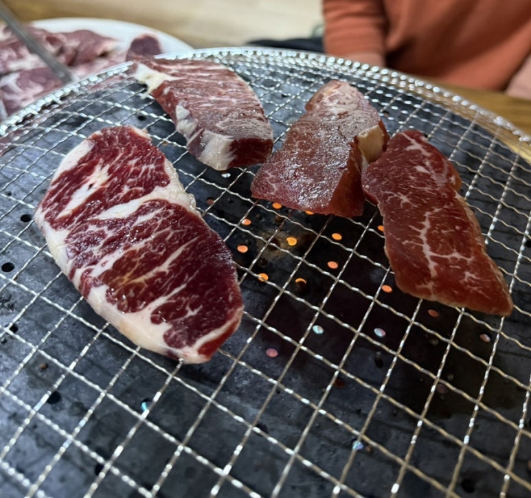 치마살 안창살