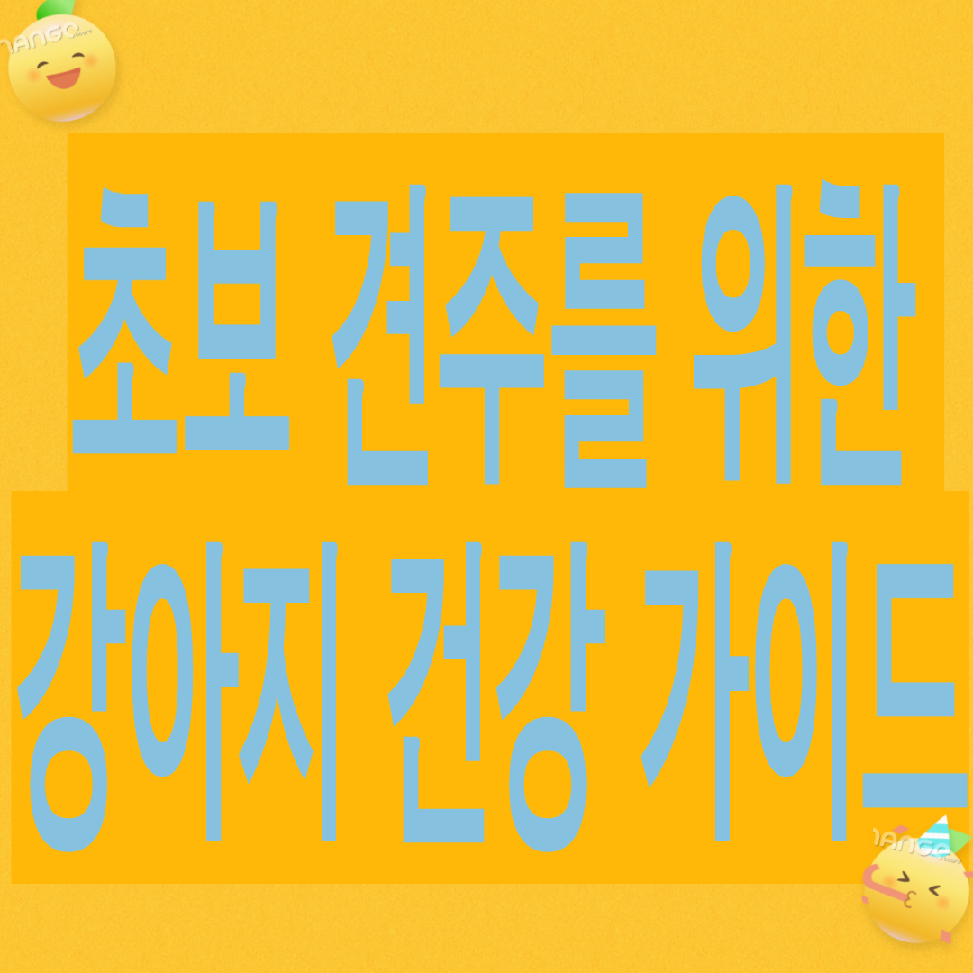 초보 견주를 위한 강아지 건강관리 가이드