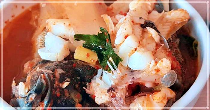 MBN 생생정보 마당 거제, 거제도 선장님이 직접 잡은 제철 보리 오징어 요리 한상 맛집