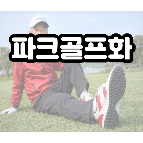 파크골프화