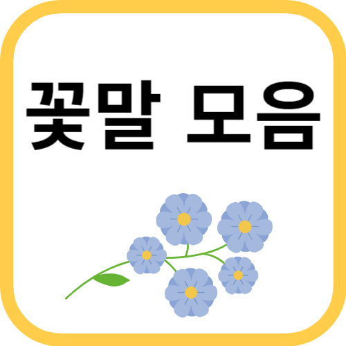 꽃