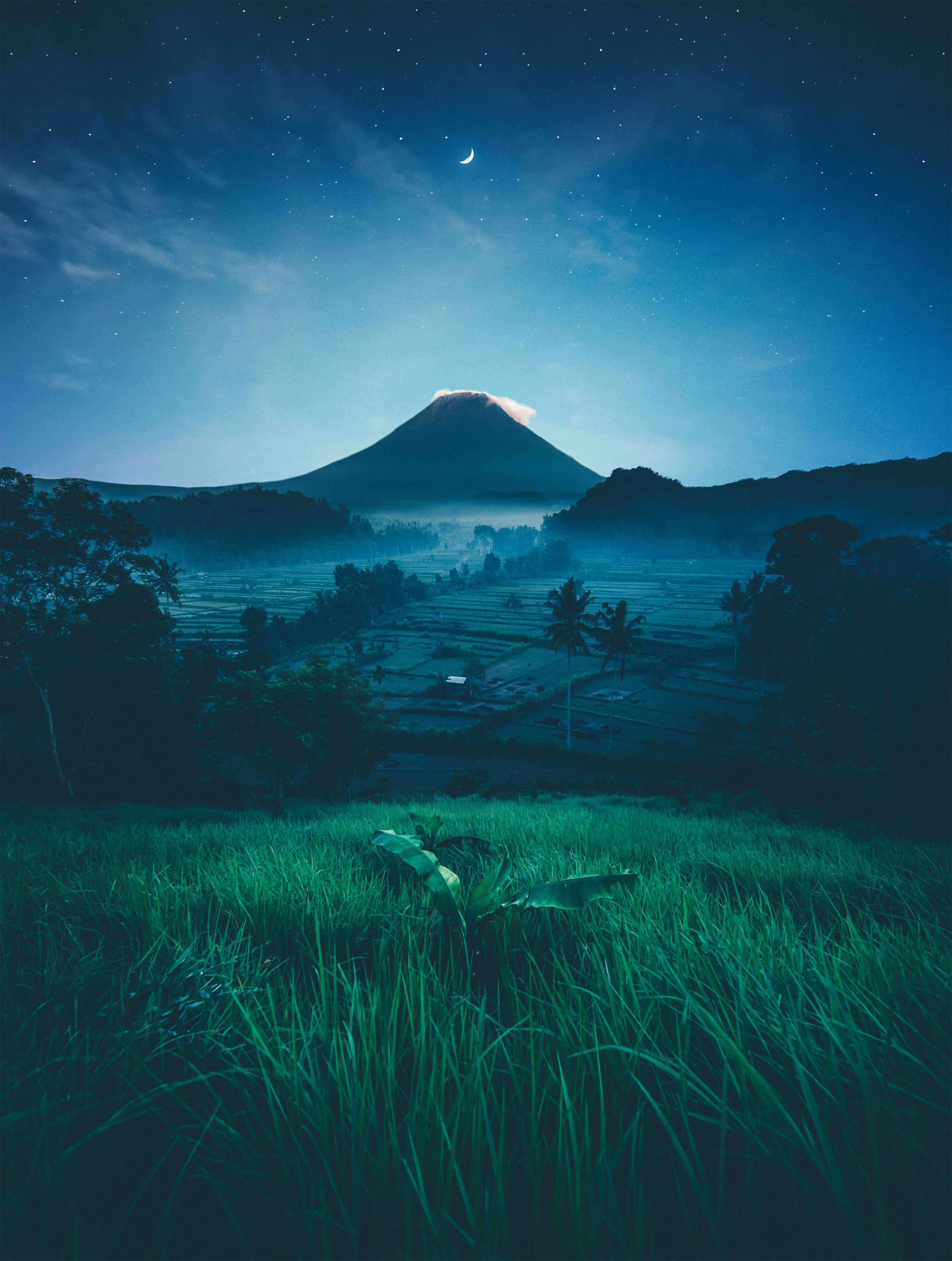 New Moon(신월)