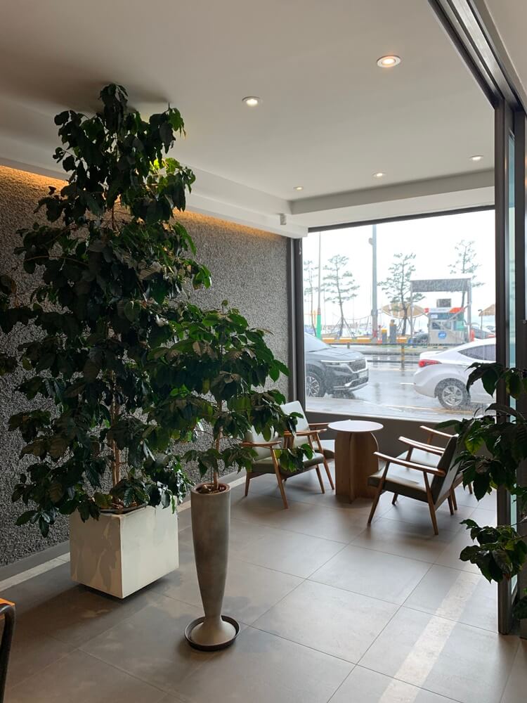 1층 내부 창가쪽 4인자리