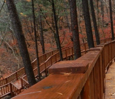 숲나들e 국립 산음 자연휴양림 국내 여행지 추천 관련사진