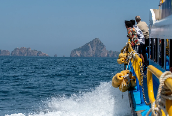 섬 하나 정복하기 여행! 울릉도 구석구석 걸어서 탐험