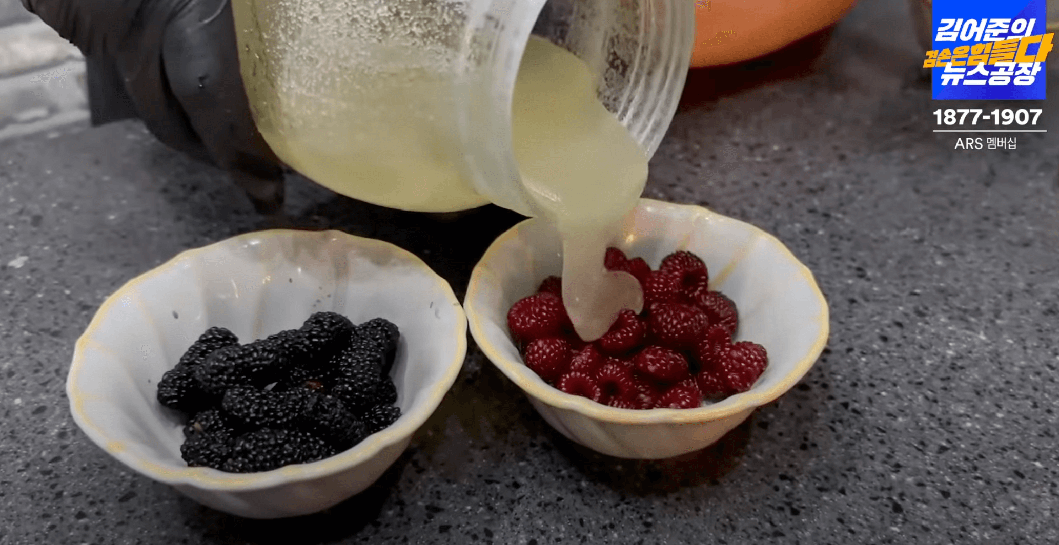 금요-미식회-산딸기-디저트-재료-오디-산딸기-꿀-섞기