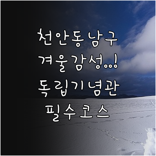 천안 동남구 겨울 여행 독립기념관 각..