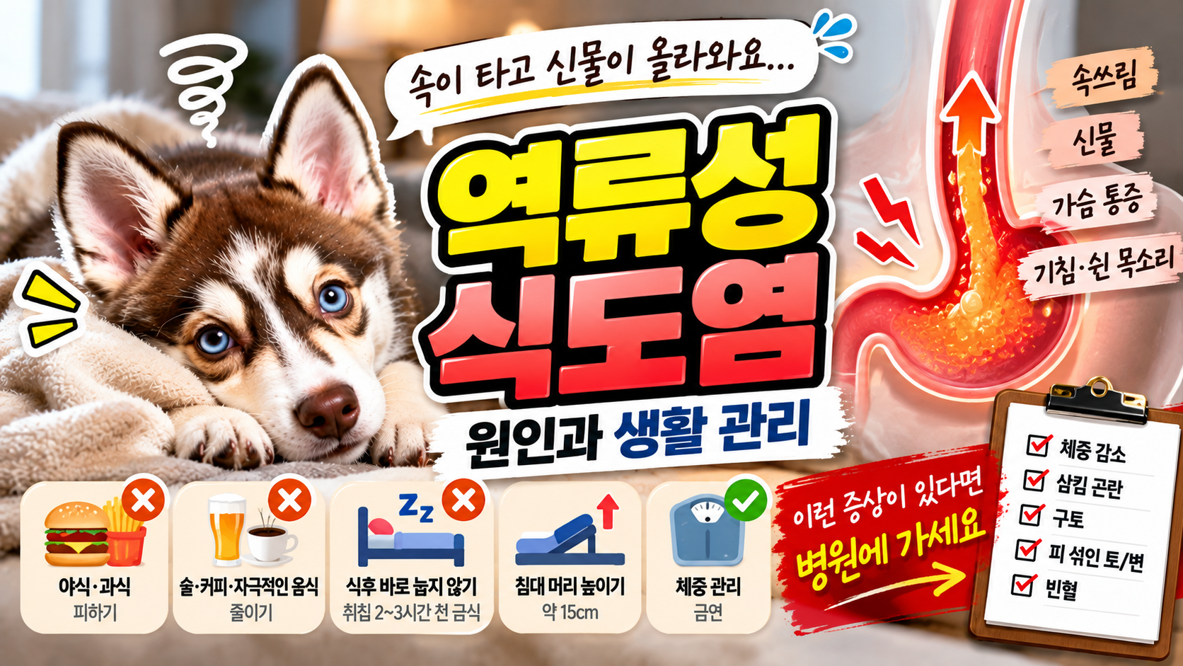 역류성 식도염
