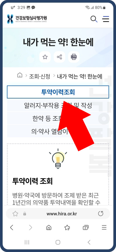 투약 이력 조회