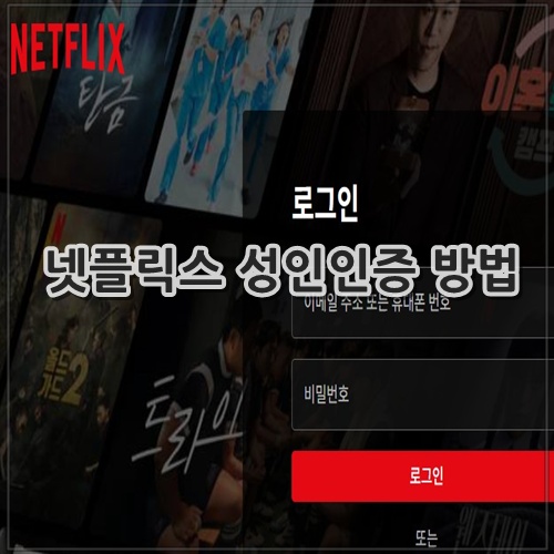넷플릭스 성인인증 방법