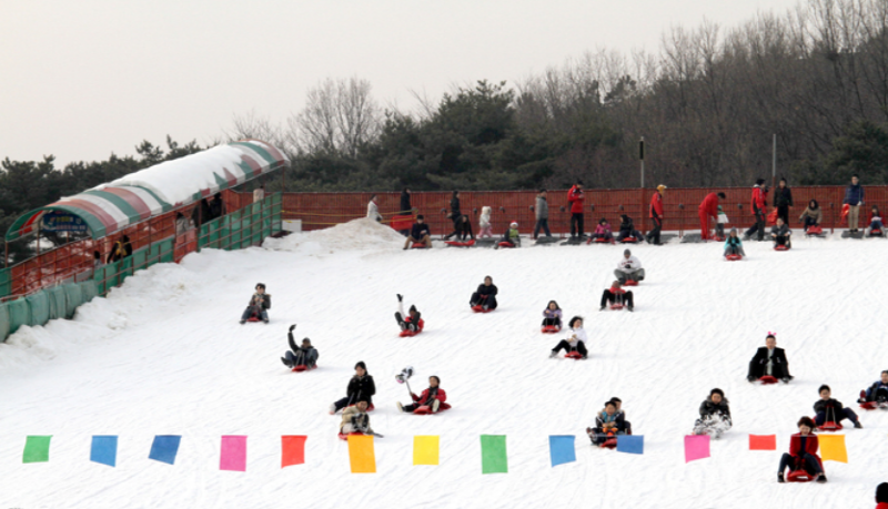 서울랜드 눈썰매장