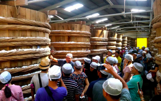 푸꾸옥 생선 소스 공장