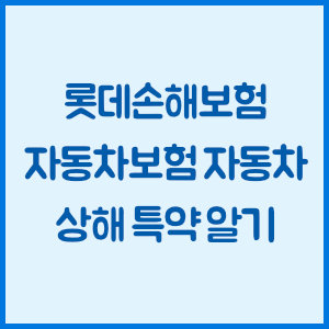롯데손해보험 자동차보험 자동차 상해 특약 알기