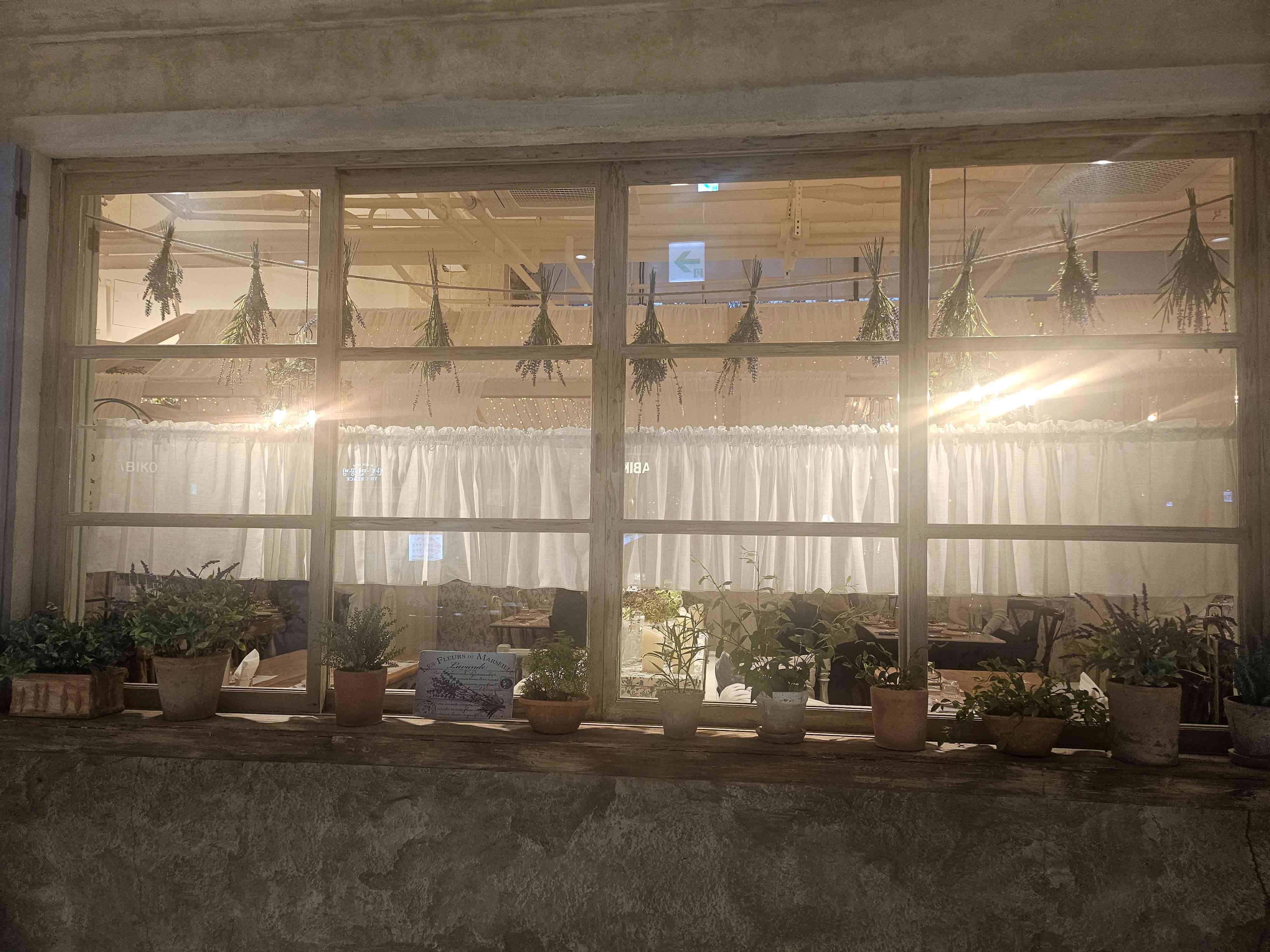 50대 여성 연말 모임-하우스오브디라이프스타일키친 원그로브점