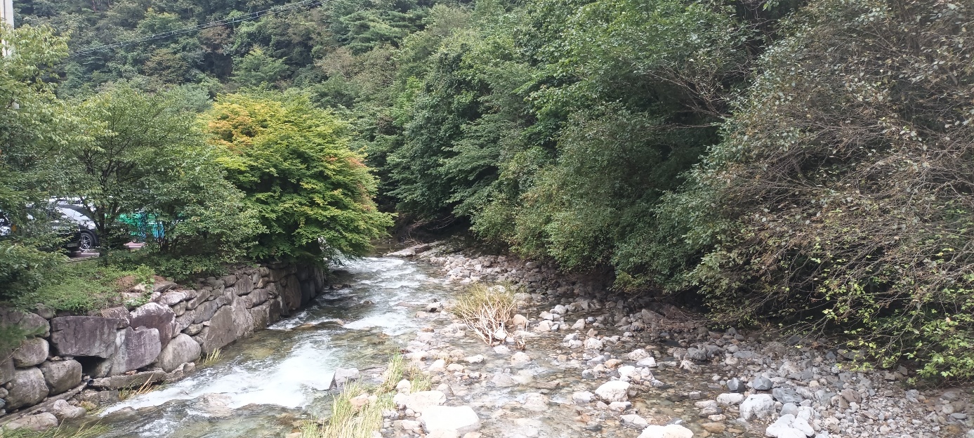 남천야영장